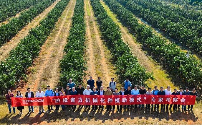 綠萌水果分選設(shè)備可進(jìn)行重量大小分級、顏色、瑕疵外觀視覺分選，無損檢測糖度，甜度，酸度、空心、浮皮、褐變、果肉損傷等內(nèi)部指標(biāo)檢測，提供智能全自動臍橙分選機(jī),臍橙分選設(shè)備,臍橙選果機(jī),臍橙選果設(shè)備,臍橙分級機(jī),臍橙稱重分揀機(jī),臍橙大小直徑選果，臍橙采后分選方案和價(jià)格