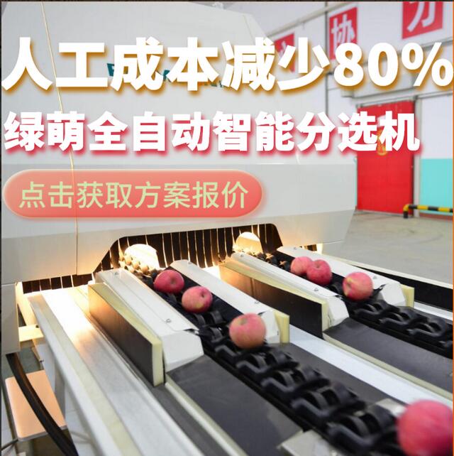 綠萌是水果智能分選設(shè)備國家高新技術(shù)企業(yè),對(duì)水果采后處理提供全套解決方案。綠萌水果分選機(jī)可進(jìn)行大小重量分級(jí)、外觀顏色分選、內(nèi)部品質(zhì)糖度檢測。提供全自動(dòng)水果分選設(shè)備,水果選果機(jī),智能水果分選機(jī),全自動(dòng)水果分選機(jī),水果分級(jí)機(jī),小型水果分選機(jī)，水果分級(jí)機(jī),水果稱重分選機(jī),水果重量分選機(jī),水果大小分選機(jī),水果顏色分選機(jī),水果糖度分選機(jī),配套水果清洗機(jī)、水果洗果保鮮機(jī)、水果包裝機(jī)、水果消毒滅菌殺菌機(jī),水果打蠟機(jī)。更多水果分選方案報(bào)價(jià),小型水果選果設(shè)備價(jià)格、水果分級(jí)機(jī)怎么樣、口碑好質(zhì)量好的水果選果機(jī)、了解高性能水果分選機(jī)多少錢,咨詢客服免費(fèi)獲取