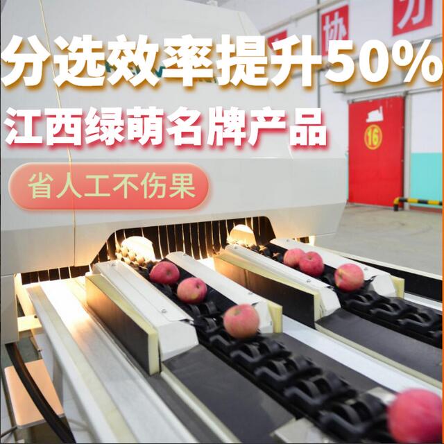 綠萌是水果智能分選設(shè)備國家高新技術(shù)企業(yè),對(duì)水果采后處理提供全套解決方案。綠萌水果分選機(jī)可進(jìn)行大小重量分級(jí)、外觀顏色分選、內(nèi)部品質(zhì)糖度檢測。提供全自動(dòng)水果分選設(shè)備,水果選果機(jī),智能水果分選機(jī),全自動(dòng)水果分選機(jī),水果分級(jí)機(jī),小型水果分選機(jī)，水果分級(jí)機(jī),水果稱重分選機(jī),水果重量分選機(jī),水果大小分選機(jī),水果顏色分選機(jī),水果糖度分選機(jī),配套水果清洗機(jī)、水果洗果保鮮機(jī)、水果包裝機(jī)、水果消毒滅菌殺菌機(jī),水果打蠟機(jī)。更多水果分選方案報(bào)價(jià),小型水果選果設(shè)備價(jià)格、水果分級(jí)機(jī)怎么樣、口碑好質(zhì)量好的水果選果機(jī)、了解高性能水果分選機(jī)多少錢,咨詢客服免費(fèi)獲取