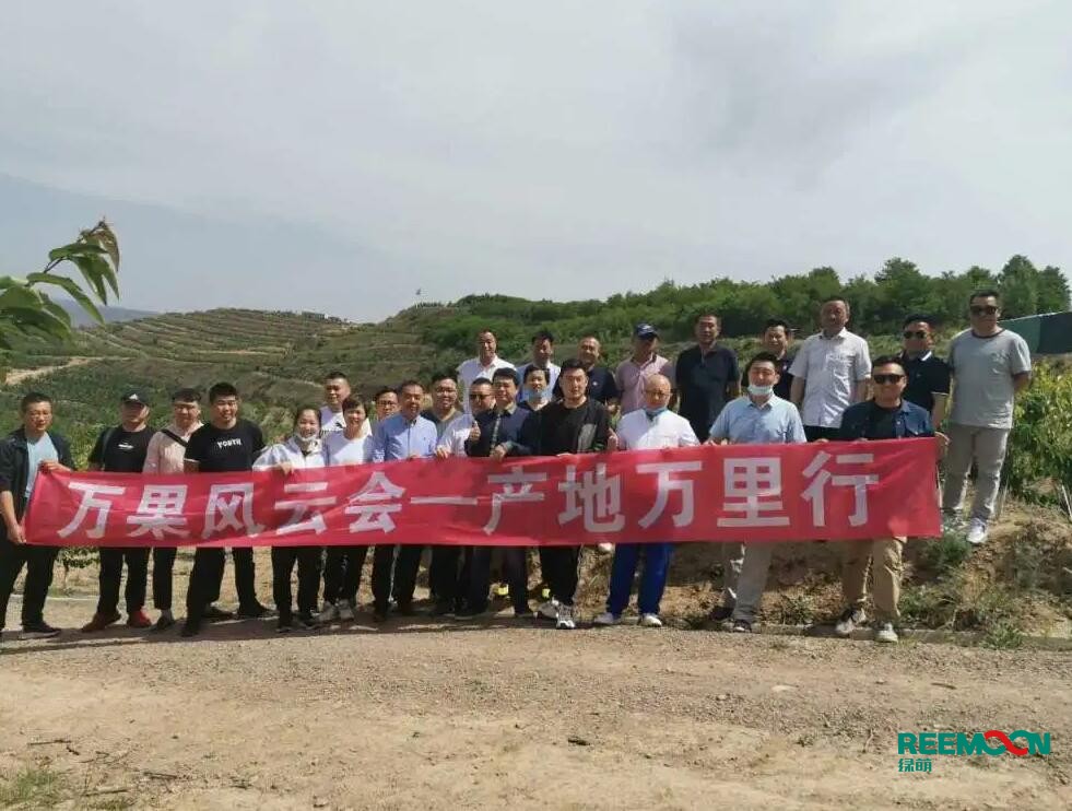 綠萌自動化櫻桃分選設(shè)備亮相甘肅天水引起各界廣泛關(guān)注 5月29日，綠萌櫻桃自動化分揀生產(chǎn)線在甘