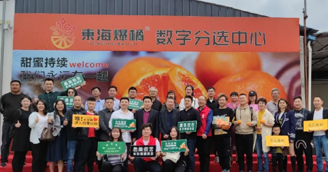 東海爆橘建立綠萌數(shù)字分選中心一陣果汁，細(xì)膩無(wú)渣，這橘子臉皮很薄，脾氣“爆”！每年秋冬季節(jié)，市場(chǎng)上各種各樣的橘子層出不窮，有些是黃澄澄的，有些是紅色的，讓人一看就喜歡，每年都買(mǎi)回來(lái)。貪心的時(shí)候找到一個(gè)，手里冰涼。我迫不及待地把它剝下來(lái)，迅速放進(jìn)嘴里。那一刻橙汁從我的喉嚨滑落，整個(gè)秋冬的干燥被