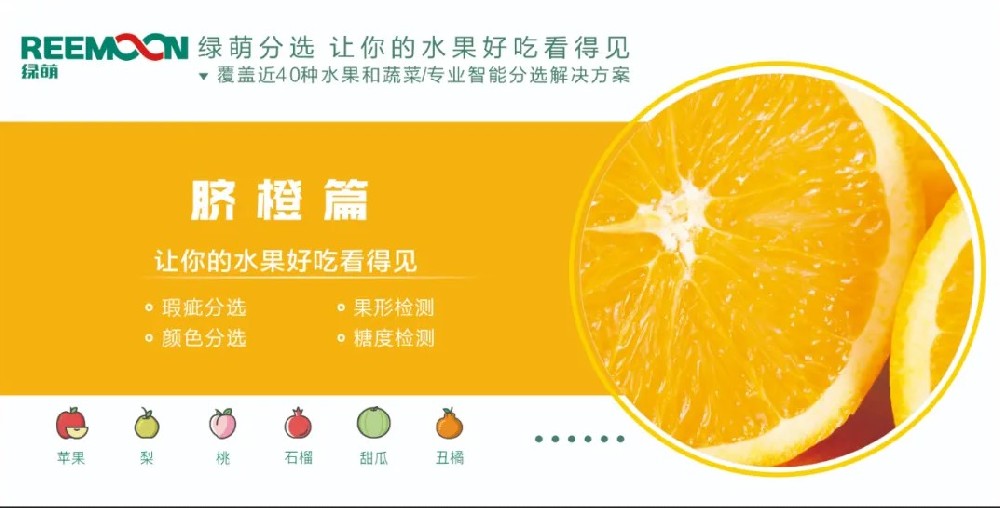 糖度可視化 好吃看得見【臍橙篇】來源：客家新聞網(wǎng)訊 記者何亮報道據(jù)悉，2019年，贛州市臍橙種植面積達到162萬畝、產(chǎn)量122萬噸，產(chǎn)值129億元。?20多年前，一批和新奇士品質(zhì)相近的贛南臍橙，用低于新奇士一半的價格出售，銷量卻并不見得比新奇士好。如今，贛南臍橙產(chǎn)值129億元，是什么讓贛南臍橙聲名鵲起？綠萌臍橙果表瑕疵