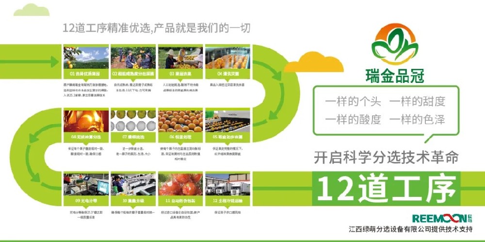 綠萌分選 讓您的水果好吃看得見 2020年11月27日，由瑞金市品冠農(nóng)業(yè)發(fā)展有限公司承辦的2020紅都品冠贛南臍橙以“綠水青山、紅色傳橙”為主題的推介會在沈陽舉行。瑞金品冠圍繞“紅色傳橙、綠色情懷、生態(tài)共建、品牌強農(nóng)”的理念，堅持要把優(yōu)質(zhì)贛南臍橙推介給東北人民，為此，瑞金品冠挑選優(yōu)質(zhì)臍橙果園基地