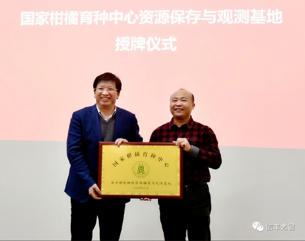 兩塊牌匾！我縣臍橙產(chǎn)業(yè)高質(zhì)量發(fā)展又上新臺(tái)階 11月30日，中國(guó)工程院副院長(zhǎng)、民盟中央副主席、中國(guó)科學(xué)技術(shù)協(xié)會(huì)副主席、國(guó)家現(xiàn)代農(nóng)業(yè)柑橘產(chǎn)業(yè)技術(shù)體系首席科學(xué)家鄧秀新帶領(lǐng)調(diào)研組來(lái)到我縣調(diào)研，并出席華中農(nóng)業(yè)大學(xué)與江西綠萌科技控股有限公司簽約儀式、“綠萌果蔬生產(chǎn)智慧裝備研究院”和“國(guó)家柑橘育種中心南方特色柑橘資源保