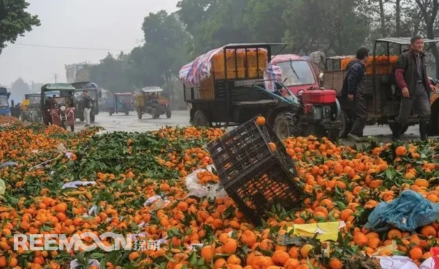 中國(guó)是果業(yè)大國(guó)，水果種植面積和產(chǎn)量近年來一直穩(wěn)居世界第一。隨著消費(fèi)水平的提高，中國(guó)果業(yè)發(fā)展迅速，成為資本進(jìn)入的重要領(lǐng)域，許多人紛紛跨界轉(zhuǎn)入了農(nóng)業(yè)，盡管大量的資金和人才進(jìn)入，但仍未能改變現(xiàn)狀:中國(guó)果業(yè)當(dāng)前面臨的主要問題仍是“產(chǎn)能過剩，質(zhì)量不高”。那么，中國(guó)果業(yè)目前處于什么狀況?世界果業(yè)的發(fā)展如何，進(jìn)入水