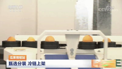 連線采訪＋現(xiàn)場直播7月20日CCTV農(nóng)業(yè)農(nóng)村頻道、央視頻APP深度報道湖北老河口黃桃產(chǎn)業(yè)發(fā)展情況綠萌作為果蔬智能科技分選企業(yè)憑借AI（人工智能）算法以及光譜技術(shù)為老河口黃桃產(chǎn)業(yè)賦能而亮相央視在此之前綠萌因為中國果蔬采后標準建設賦能已經(jīng)多次亮相于央視黃桃作為老河口的“富農(nóng)果”，身肩重任。全市3.5萬畝黃桃如何打造價格
