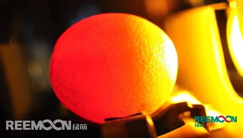 內(nèi)部品質(zhì)無(wú)損檢測(cè)系統(tǒng).jpg