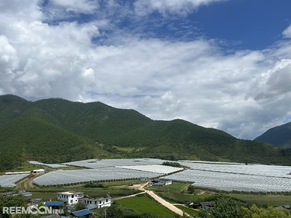 麗江市蘋果種植主產(chǎn)區(qū)海拔2400-2700米，良好的立體環(huán)境條件造就了麗江蘋果糖度高、果肉緊密、硬度高、無污染的品質(zhì)特點(diǎn)。2019年，在全國種植產(chǎn)區(qū)的甄選中，鑫榮懋選定了云南省麗江市蘋果優(yōu)勢(shì)產(chǎn)區(qū)作為未來蘋果種植項(xiàng)目的實(shí)施地，目前已種植新西蘭引進(jìn)的優(yōu)良蘋果品種。鑫榮懋以新品種、新技術(shù)及高品質(zhì)為發(fā)展蘋果種植的新契機(jī)，