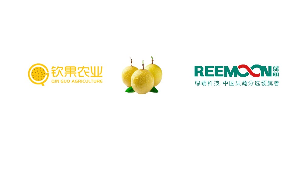 “廣西 欽果農業(yè) 百香果