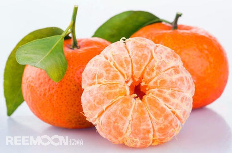 近幾年，砂糖橘逐漸跌落“神壇”，價格急速下滑。產(chǎn)能過剩、集中上市、競爭增大......不少問題圍繞著砂糖橘產(chǎn)業(yè)的發(fā)展。難道真的就要走向末路了嗎？砂糖橘口感清甜似砂糖，入口即化，富含維生素、葡萄糖、胡蘿卜素等多種營養(yǎng)元素，且市場歡迎度高、老少皆宜，擁有廣闊的市場空間。近年來砂糖橘價格一路低走，產(chǎn)業(yè)模式的問題